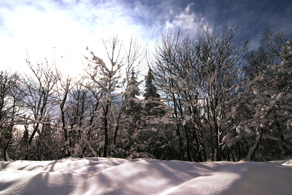 Pension Zueschener Bauernstuben Winterberg Kültér fotó