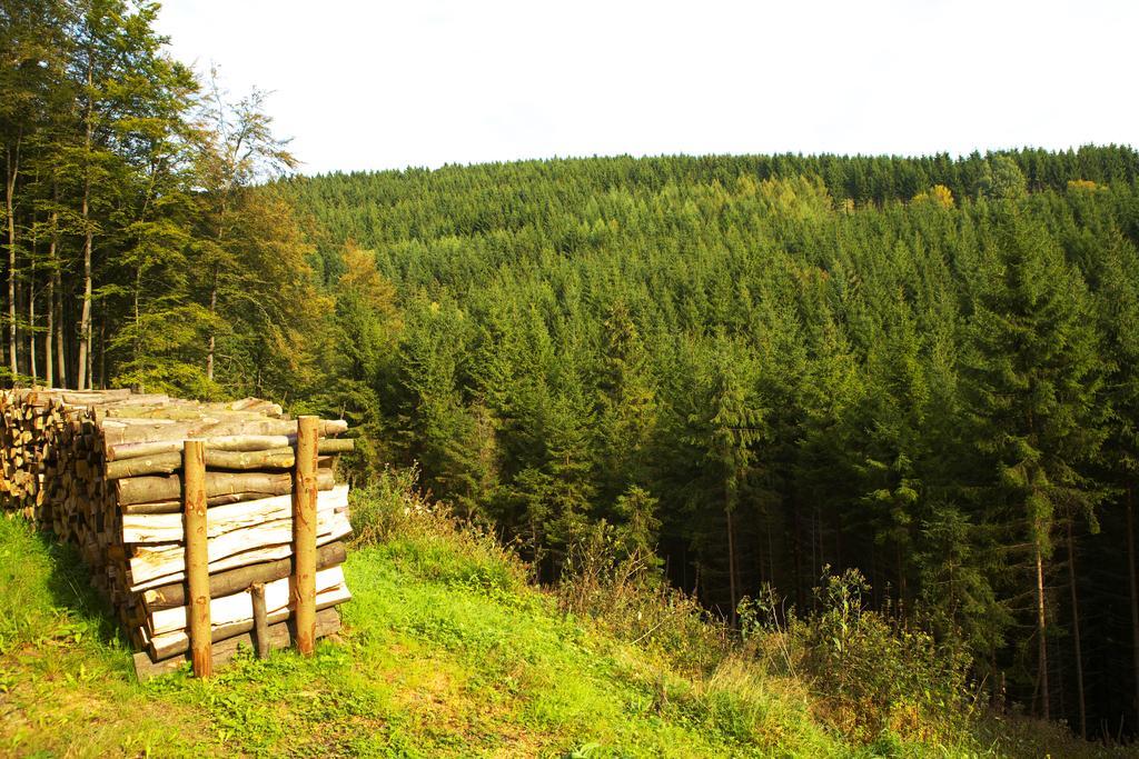 Pension Zueschener Bauernstuben Winterberg Kültér fotó
